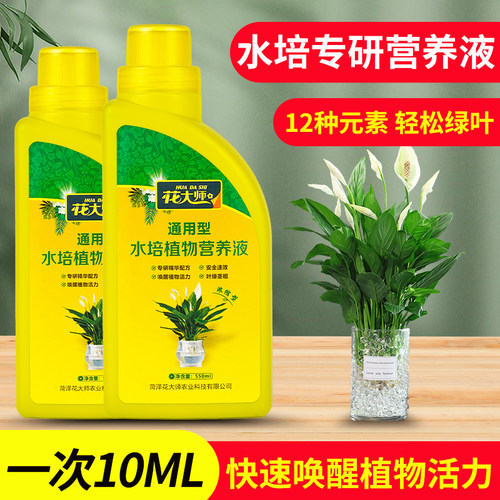 水培植物营养液富贵竹专用水养转运竹巴西木郁金香种球绿萝花肥料 - 图1