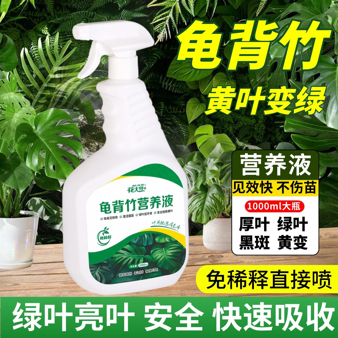 龟背竹营养液专用肥料室内绿植盆栽天南星科黄叶卷边免稀释叶面肥,淘宝优惠券,粉丝福利购,淘宝优惠卷