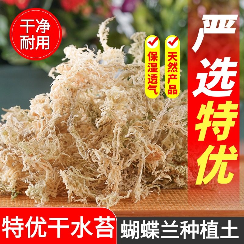 水苔蝴蝶兰专用土干苔藓青苔兰花营养土植料盆栽天然种植透气,淘宝优惠券,粉丝福利购,淘宝优惠卷