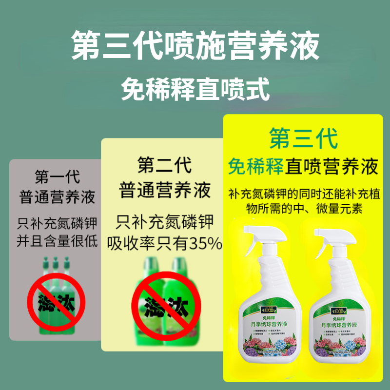 月季肥料专用肥营养液玫瑰绣球月季花卉促花养花喷施叶面肥免稀释 - 图3