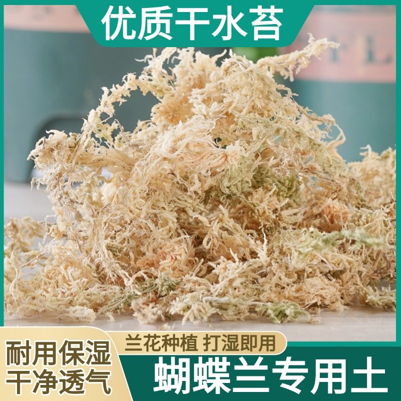 水苔蝴蝶兰专用土干苔藓青苔兰花营养土植料盆栽天然种植透气,淘宝优惠券,粉丝福利购,淘宝优惠卷