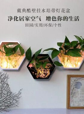 墙上装饰壁挂花盆客厅挂墙植物墙壁挂件墙面装饰品极简现代电视