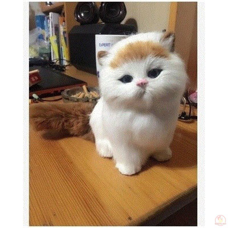 包邮会叫动尾巴仿真猫咪小花猫模型 嘉珈仿真/动物玩偶