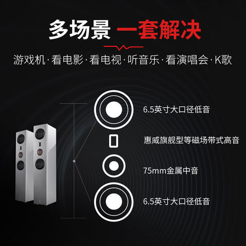 HiVi/惠威RH6HT家庭影院音响套装5.1声道音响木质HiFi级落地音箱 - 图0