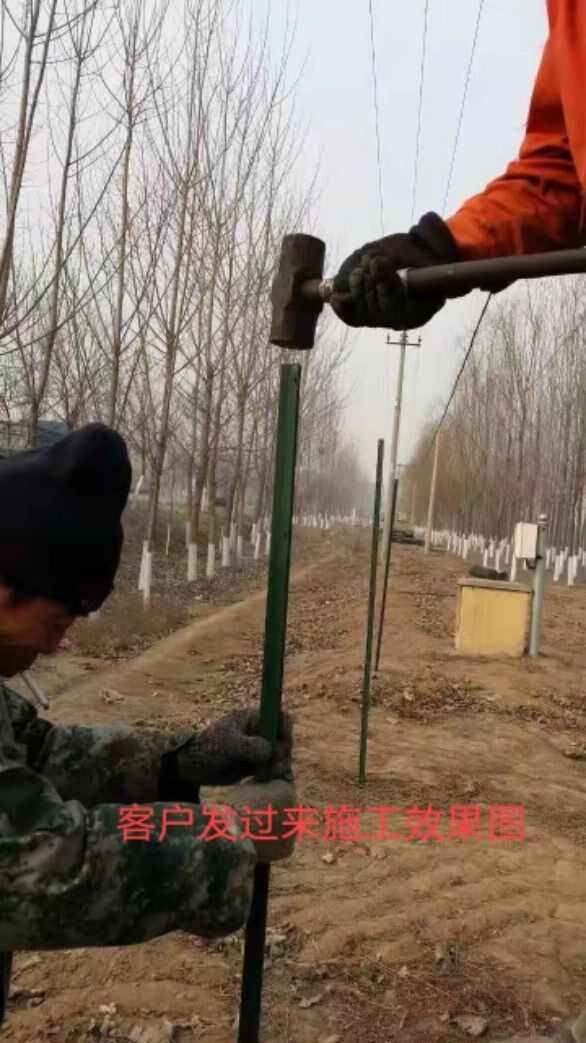  博睿贺护栏/隔离栏