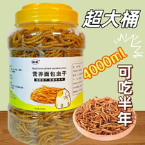 Drying Bread Worm Parrot Luding Chicken With Hedgehog Hamster Golden Silk Bear 8 Gowu Turtle Bird Food Nutritional High Protein Staple Grain