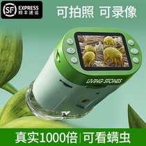 Microscopy Childrens Science Professional Level Electronic Optical to Watch Bacteria Elementary And Middle School Special High-definition Portable Handheld