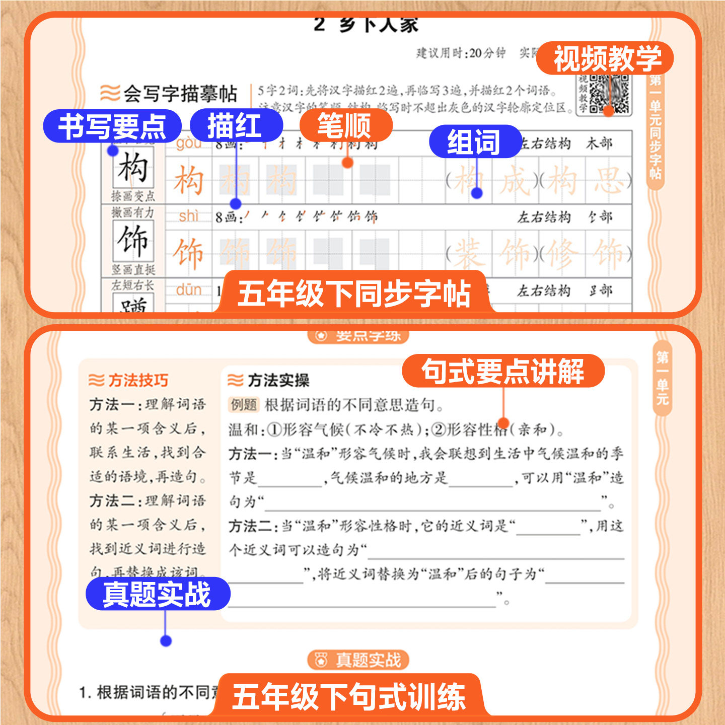 2026版王朝霞活页同步阅读句式训练大全同步字帖三四五六年级上下册小学语文人教版活页默写计算看图写话一二年级专项训练每日一练