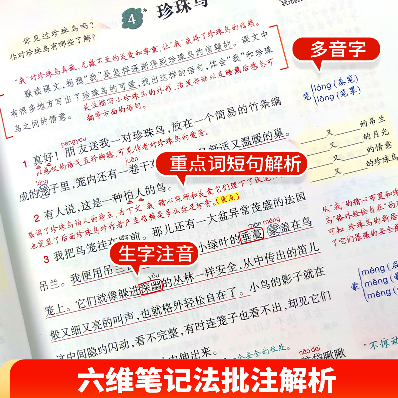 2024新版状元语文笔记一二年级三四五六年级下册小学数学英语人教版北师版课本同步预习七彩状元大课堂笔记随堂学霸笔记教材全解读