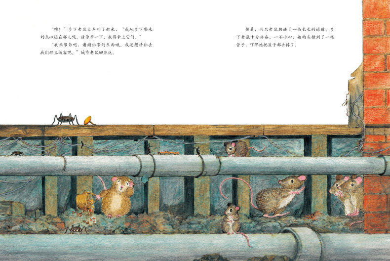 【点读版】城市老鼠和乡下老鼠 正版平装世界经典童话绘本儿童图书5-6-7-8岁宝宝绘本图画书亲子共读睡前故事海豚生命教育系列,淘宝优惠券,粉丝福利购,淘宝优惠卷
