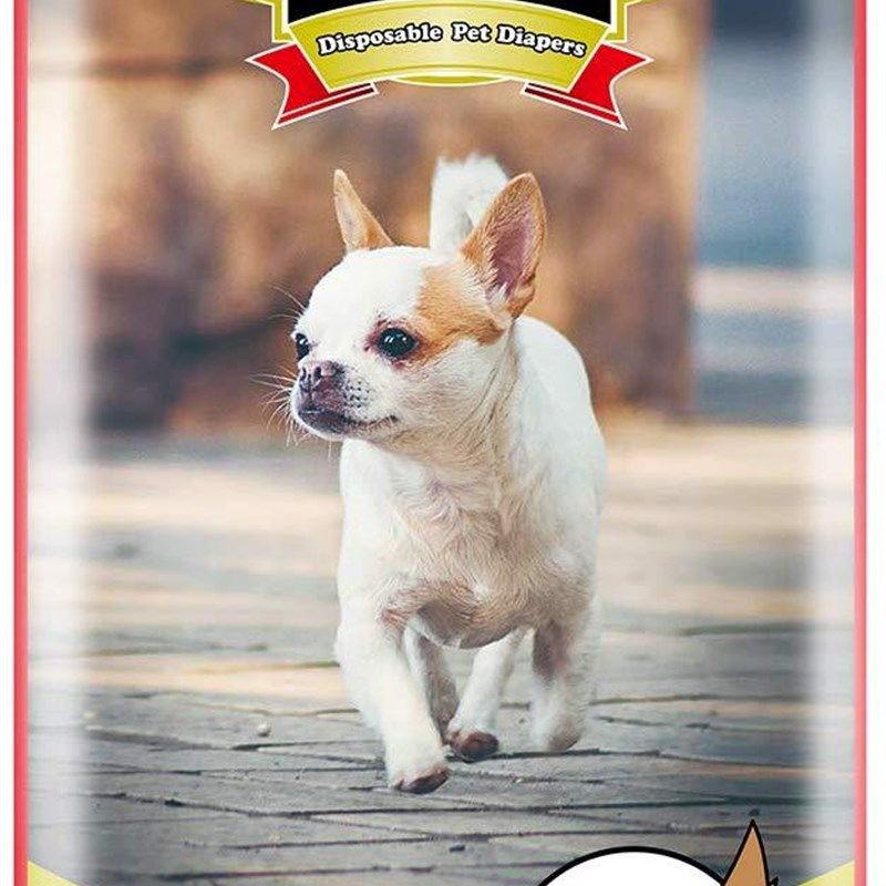 2020新款NO纸尿裤 狗狗生理裤狗姨妈巾尿片尿垫 宠物用用品,淘宝优惠券,粉丝福利购,淘宝优惠卷