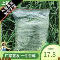 New 23 Years Drying Up Ti Moshe Grass Boutique North Tigangrass Rabbit Grain Rabbit feed Netherlands Pig Dragon Cat Grass 500g