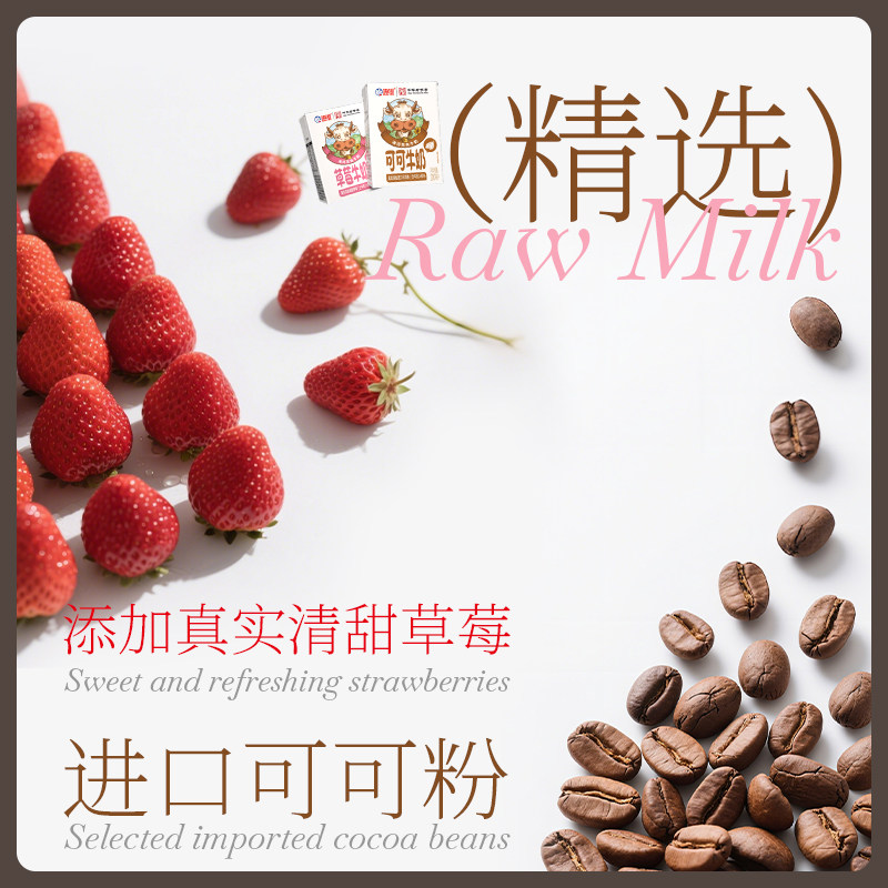 海河牛奶新品可可牛奶200ml*8盒*2提营养风味奶儿童学生草莓牛奶,淘宝优惠券,粉丝福利购,淘宝优惠卷
