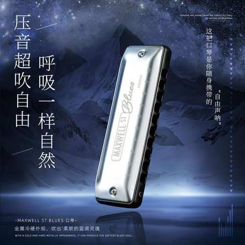 EASTTOP东方鼎布鲁斯口琴10孔maxwell专业初学演奏款学生用ms030 - 图0