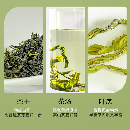 [买1发2]天福天心茗茶2026新茶明前早春毛峰绿茶春茶袋装茶叶125g - 图0