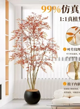 南天竹红色仿真绿植客厅沙发旁