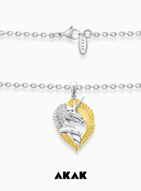 AKAK勋章项链毛衣链吊坠