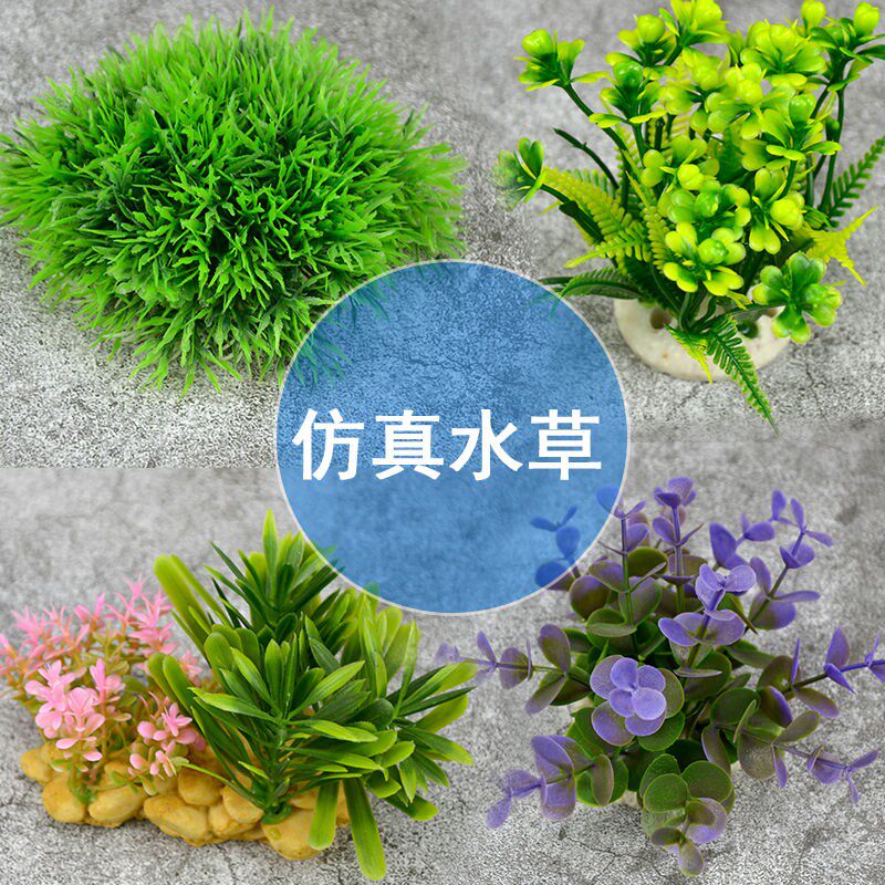 阴性水草缸 新人首单立减十元 21年8月 淘宝海外