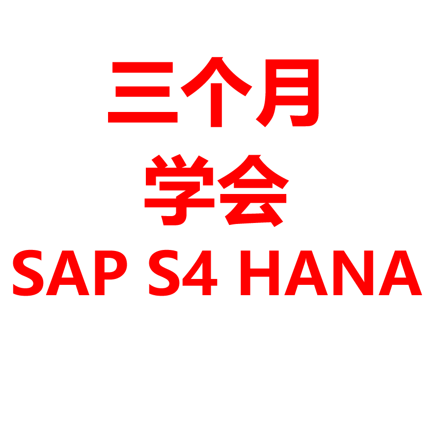 三个月学会SAP S4 HANA FICO MM PP SD配置及前台操作2023PDF文档-图3