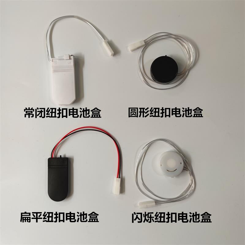 新款LED灯珠小夜灯5号电池小灯泡 DIY创意模型灯笼学生手工道具灯 - 图0