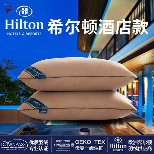 Pillow Healthy pillows feather velvet hotel pillow for bed - 图0