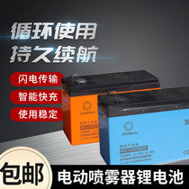 12V Electric Sprayer Lithium Battery Misting Machine Special Battery 8ah Battery Lighting Accumulator High 