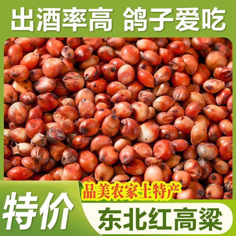 当季东北红高梁100斤装酿酒50斤未脱皮新高梁5斤喂鸽子饲料10kg,淘宝优惠券,粉丝福利购,淘宝优惠卷