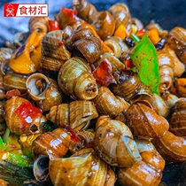 (lower single front contact customer service) Third pier Old Changsha Taste Shakes Ready-to-use Hunan Savory Spicy Fields Snail Spicy