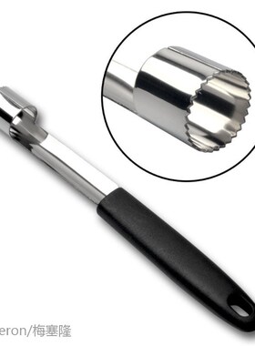 Stainless Steel Fruit Core Seed Remover Apple Pear Corer Saf