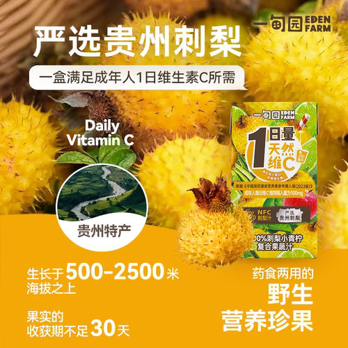 一甸园贵州刺梨小青柠味100%复合果蔬汁VC果汁饮料125mL*6盒 - 图0
