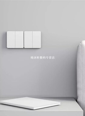 [New Arrival] Smart Switch Wall Switch Single/Double Open Du
