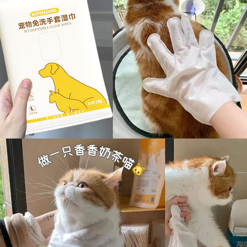 新款宠物湿巾手套猫狗专用便携免洗除臭湿纸巾泪痕猫咪清洁用品 - 图1