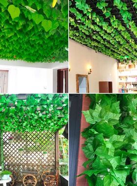 墙面挂饰绿植仿真葡萄叶爬山虎植物藤条网红餐饮店楼梯吊顶装饰