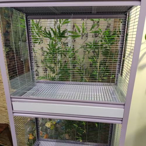 超大号长方形pp塑料实验室托盘定制多肉花架接水盘宠物鸟笼接粪盘 - 图0