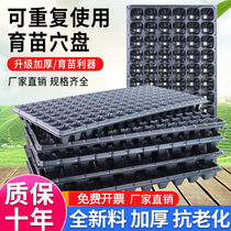 Nursery tray Tray Seedling Basin Cultivation of Divine Instrumental Vegetable Corn Seedlings Pan Nutrient Bowl Breeders Trays Cutout Wholesale