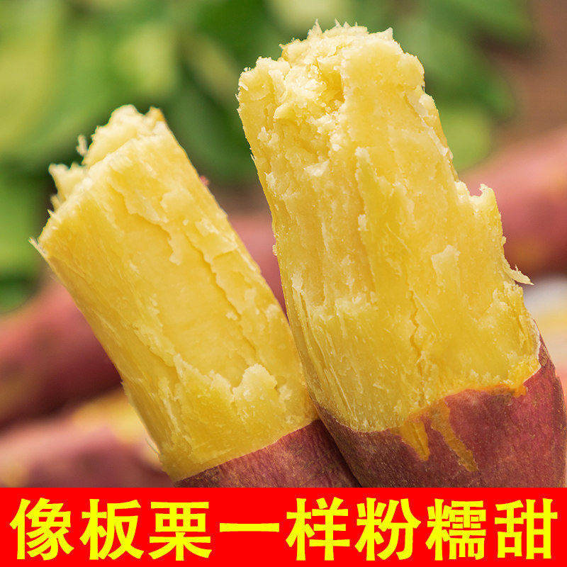 新鲜10斤陕西黄河沙地现挖板栗红薯 今鲜乐番薯