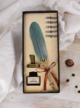1Set New Calligraphy Feather Dip with 5 Nib Gift Quill Pen W
