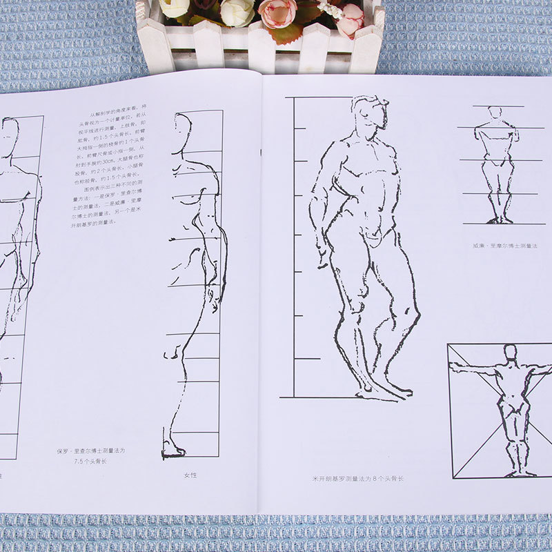 正版包邮伯里曼人体结构绘画教学白金版+伯里曼画手共2册素描-图2