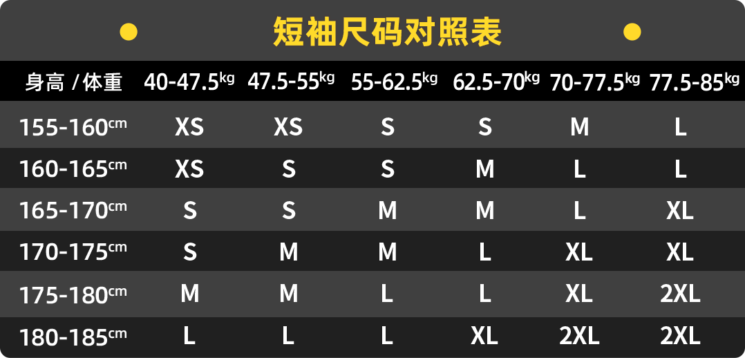 PALLADIUM帕拉丁潮流百搭Polo/圆领条纹短袖T恤