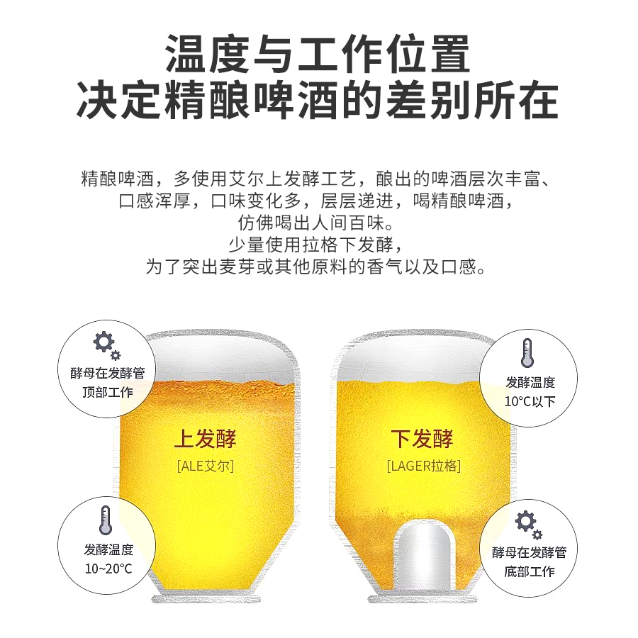 轩博精酿福利款866ML啤酒11.2°P原麦汁德式艾尔小麦白啤