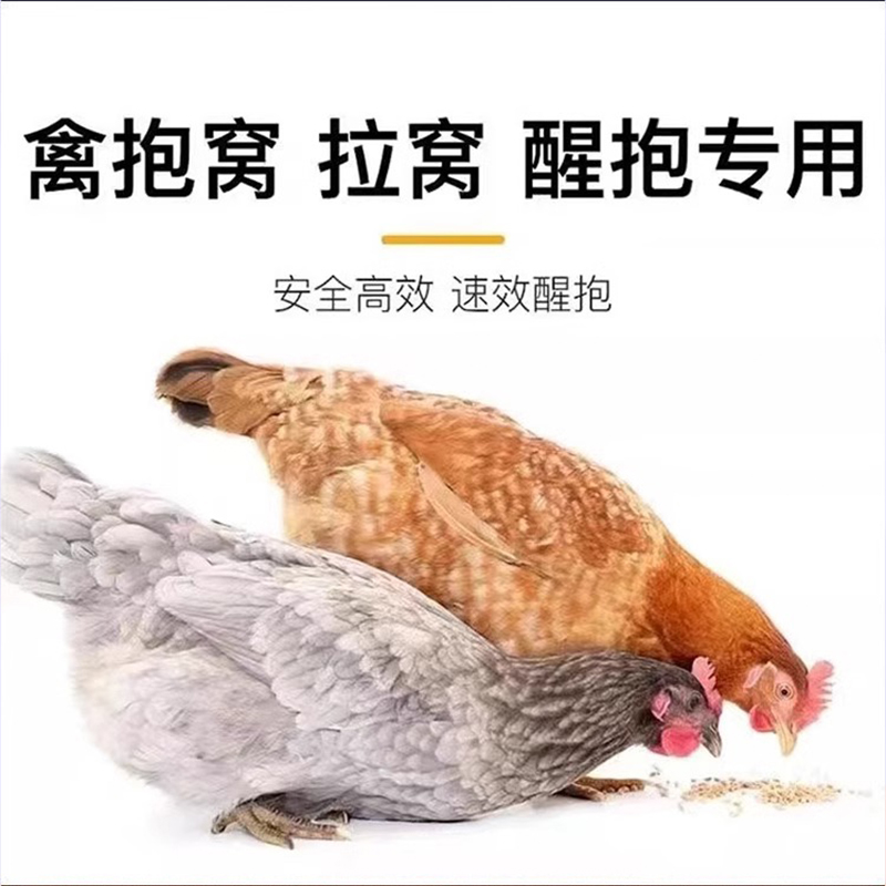 母鸡醒抱药抱窝催乳片芦丁鸡鸭鹅蛋多多增蛋宝下蛋催蛋专用饲料 - 图2