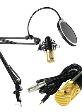 BM800 Pro Microphone Mixer Audio dj MIC Stand Condenser USB