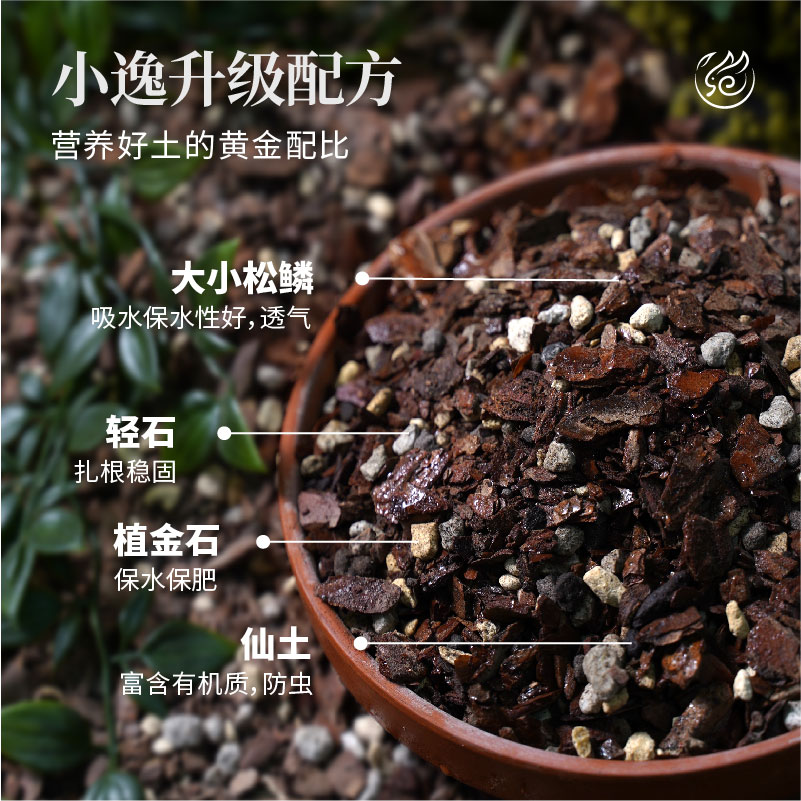 兰花专用土营养土植料君子兰松树皮透气蝴蝶兰种植石斛盆栽种植土-图0