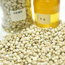 Green Oil Medicinal Green Oil Muli Seed Oil Tallow Seed Oil tree Oil Medical Vegetable Oil Natural Wood Catali Oil