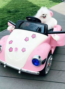 Pink/Blue Princess Electric Car for Children 3 9 Years Kids