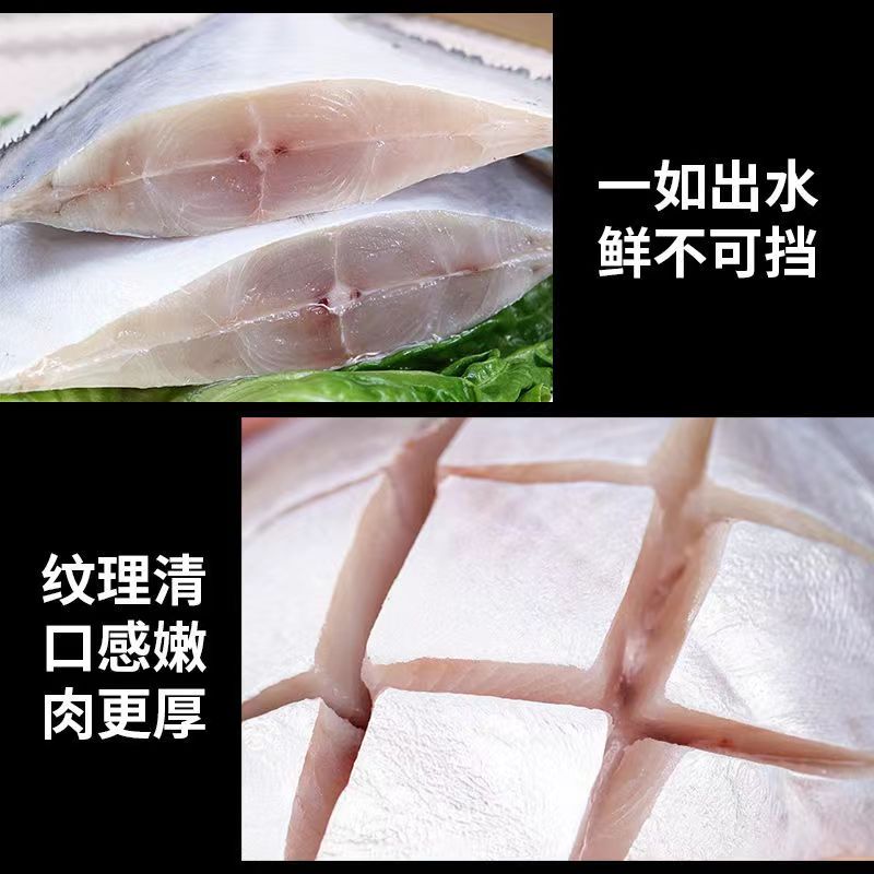 黄海野生银鲳鱼新鲜速冻无冰衣白鲳鱼海鲜水产 非冷库货500g/包 - 图2