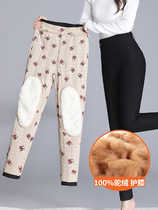 Harbin Tethickness Plus Flannel Thickened Cotton Pants Woman Winter Exterior Wearing Camel North East Warm Protective Kneecap Kneecap Wool underpants