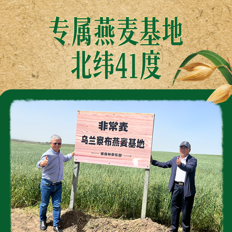 非常麦燕麦奶饮料植物奶0胆固醇燕麦饮早餐奶有机燕麦奶礼盒200ml