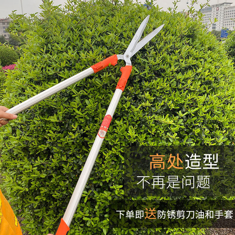 园艺花剪绿化修剪树枝修花修枝剪花木剪草修草坪绿篱剪强力大剪刀_虎窝淘