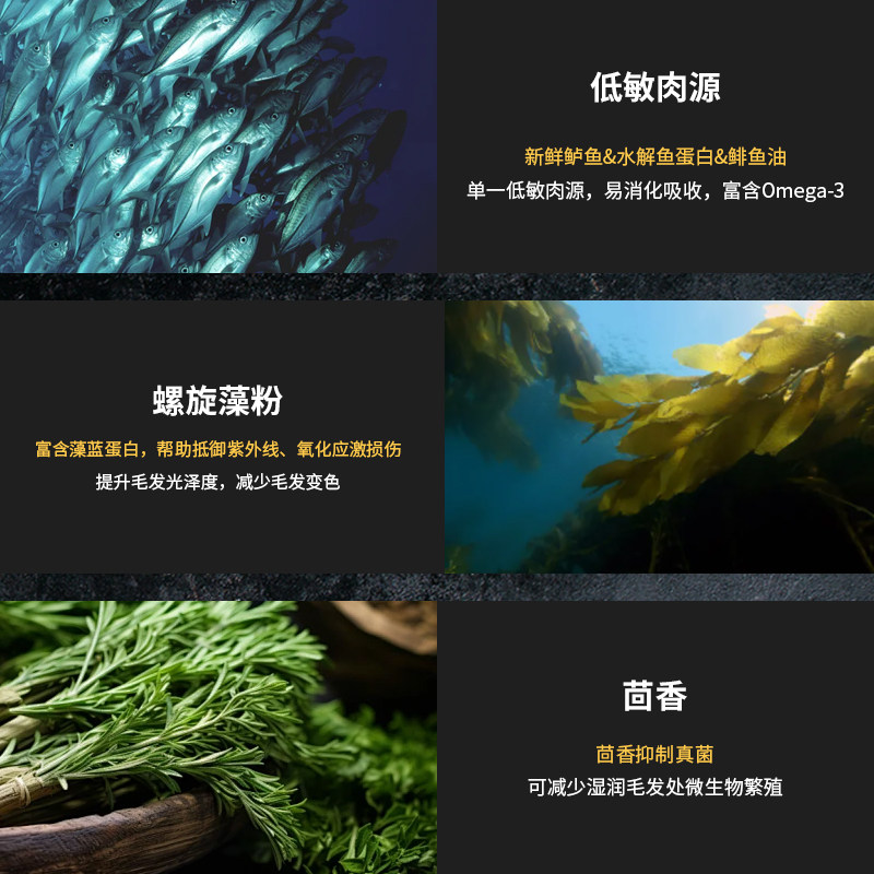 法米娜深海鲈鱼配方添加螺旋藻小型成犬粮2kg狗粮毛发滋养,淘宝优惠券,粉丝福利购,淘宝优惠卷